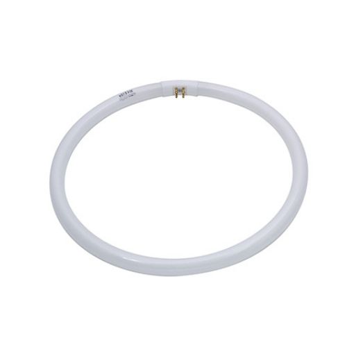 Slika Fluo sijalica T5 32W/865 220-240V, 50-60Hz, T5 OVALE, 4 PINA - Okrugla  "Kunpeng"